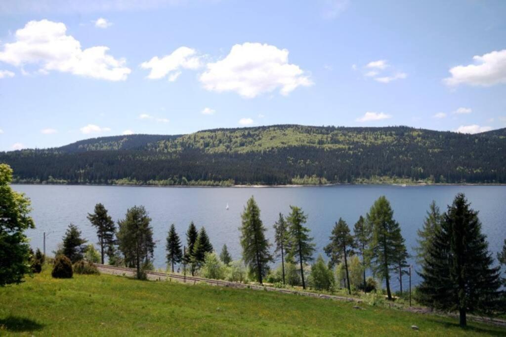Fewo Sperlingskauz Mit Pool, Sauna & Hochschwarzwaldcard Шлухзе Екстер'єр фото