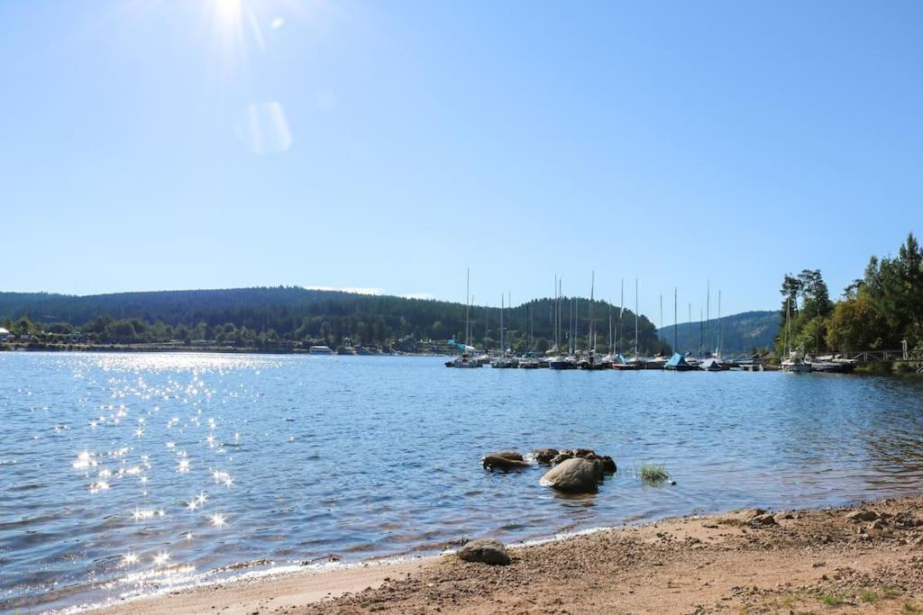 Fewo Sperlingskauz Mit Pool, Sauna & Hochschwarzwaldcard Шлухзе Екстер'єр фото
