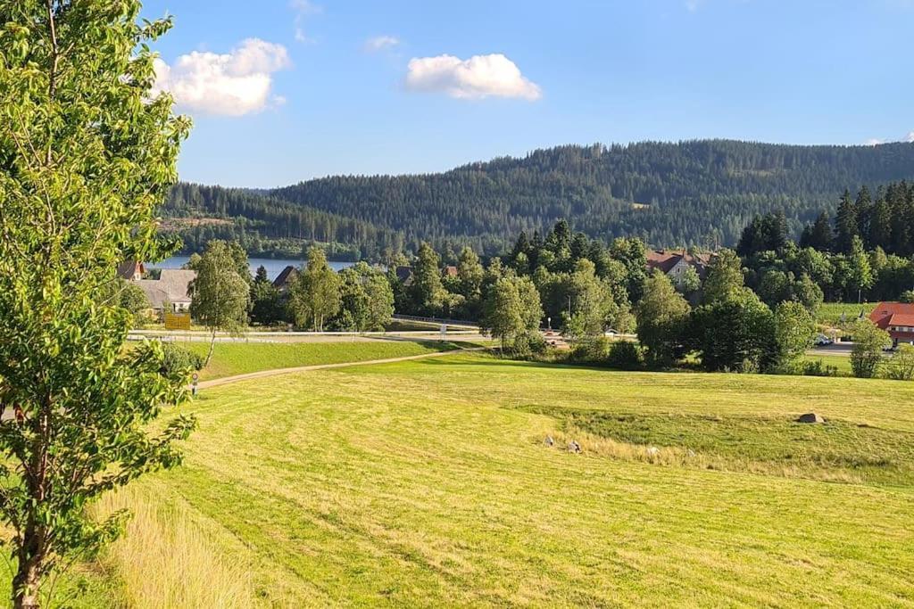 Fewo Sperlingskauz Mit Pool, Sauna & Hochschwarzwaldcard Шлухзе Екстер'єр фото