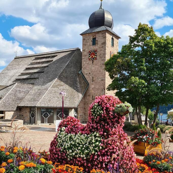 Fewo Sperlingskauz Mit Pool, Sauna & Hochschwarzwaldcard Шлухзе Екстер'єр фото