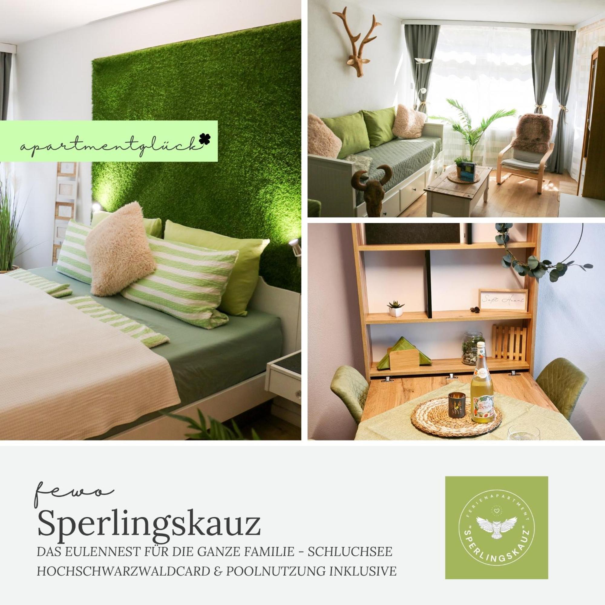 Fewo Sperlingskauz Mit Pool, Sauna & Hochschwarzwaldcard Шлухзе Екстер'єр фото
